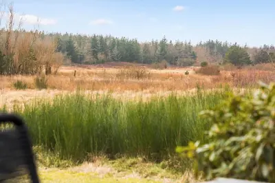 a bench in a field with tall grass at JB227-Frostrup-Andreas-Lassens-Vej-16 in Frøstrup