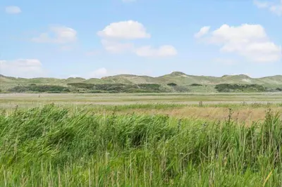 a field of tall grass with mountains in the background at 70721-Ulfborg-Klitengene-11 in Ulfborg
