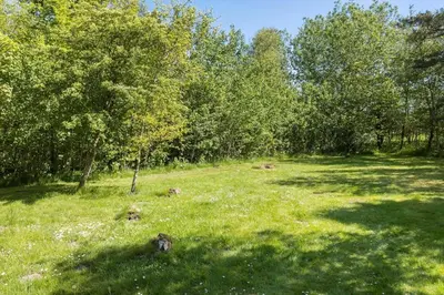 a field of grass with trees in the background at LF21632-Spottrup-Rylevej-1 in Spottrup