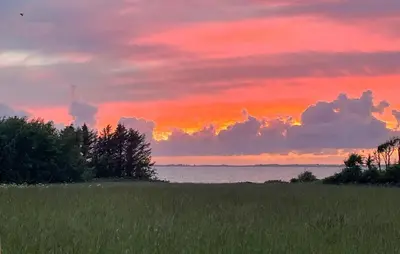 a sunset over a field with grass and trees at Ocean Front Home In Spøttrup With Sauna in Spottrup