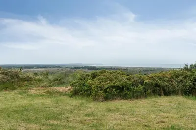 a field with grass and bushes in a field at Family House With Sea View In Svinkløv in Fjerritslev