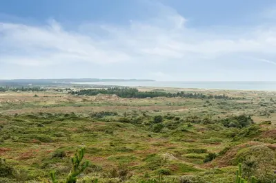 a view from the top of a hill with trees at Family House With Sea View In Svinkløv in Fjerritslev