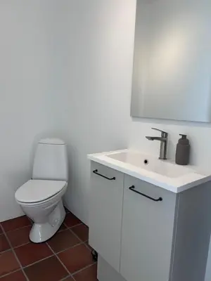 a white bathroom with a toilet and a sink at Udsigtsvilla Tambohus in Thyholm