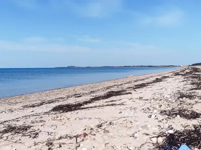 a beach with seaweed on the sand and the water at 4 star holiday home in Løgstør in Løgstør