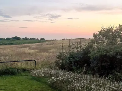 a field of grass with a sunset in the background at 4 star holiday home in Løgstør in Løgstør
