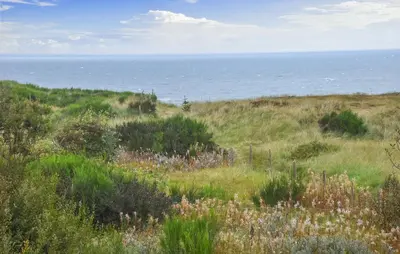 a field of grass with the ocean in the background at Gorgeous Home In Hanstholm With House Sea View in Hanstholm