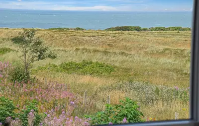 a field of tall grass with flowers and the ocean at Nice Home In Hanstholm With House Sea View in Hanstholm