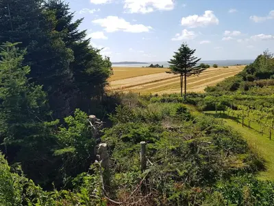 a view of a field from a hill with trees at 4 star holiday home in Ranum in Ranum