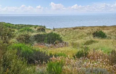 a field of grass with the ocean in the background at 5 Bedroom Amazing Home In Hanstholm in Hanstholm