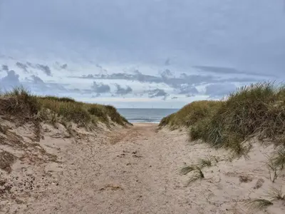 a sandy path leading to the ocean on a beach at 4 star holiday home in Harboøre in Harboør