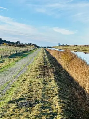 a dirt road in a field next to a river at Villa With Fjord View By Frederik Vii's Canal in Løgstør