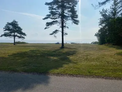 two trees in the middle of a field at Log Cabin With Hot Tub And Fjord View in Viborg