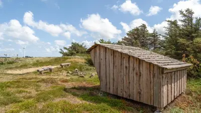 a wooden shed in a field with animals in the background at Villavilla 176 - Vrist, Vestjylland in Harboør