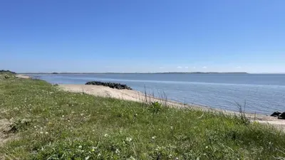 a beach with grass and a body of water at Villavilla 603 - Hostrup Strand, Limfjorden in Spottrup