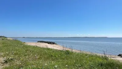 a body of water with a grassy hill next to a beach at Villavilla 429 - Hostrup Strand, Limfjorden in Spottrup