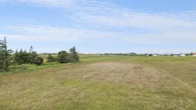 an open field with a dirt road in the middle at Villavilla 637 - Vorupør, Nordjylland in Snedsted