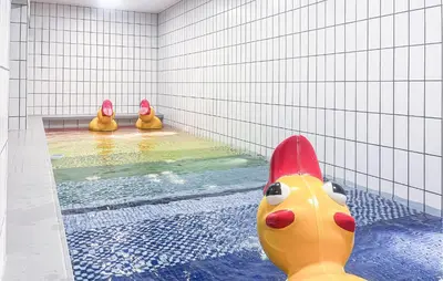 a pool with a rubber duck in the water at Awesome Home In Farsø With Wifi in Farsø