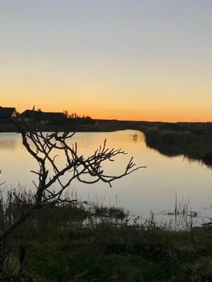 a view of a body of water at sunset at Cosy Little Wooden House On Natural Grounds in Vestervig