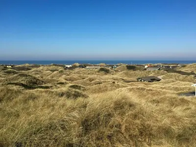 a field of tall grass with the ocean in the background at Summer House With Views Over Jammerbugt in Saltum