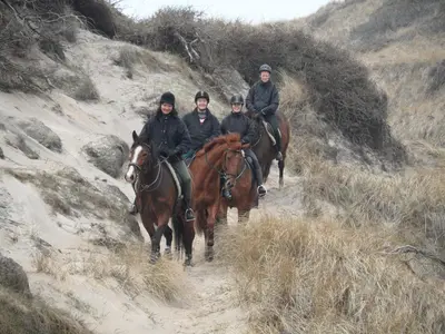 a group of people riding horses down a dirt road at Tvillinggaard Thy in Vang