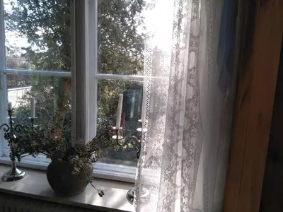 a window with a potted plant on a window sill at Porshøjvej in Skive