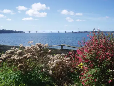 a view of a large body of water with flowers at Strandhuset Holiday Home in Glyngøre