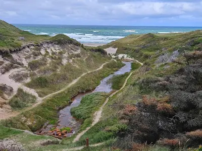 a winding river on a hill next to the ocean at 6 person holiday home in Thisted-By Traum in Sønder Vorupør