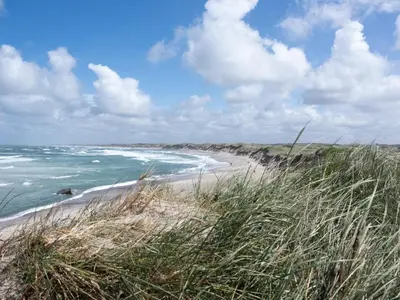 a sandy beach with the ocean and some grass at 6 person holiday home in Thisted-By Traum in Sønder Vorupør