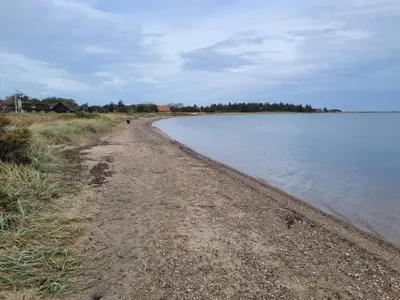 a sandy beach next to a body of water at 5 person holiday home in Roslev-By Traum in Sønder Thise