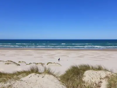 a bird is sitting on a beach near the ocean at Bright Beach House Retreat - By Traum Ferienwohnungen in Trudslev