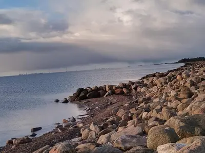 a group of rocks on the shore of a body of water at 9 person holiday home in Hurup Thy-By Traum in Sindrup