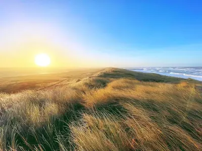 a sunset on a beach with grass and the ocean at Seaside Retreat with Sauna - By Traum Ferienwohnungen in Vrist