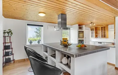 a kitchen with a large island with a counter top at Bakkegården in Thisted