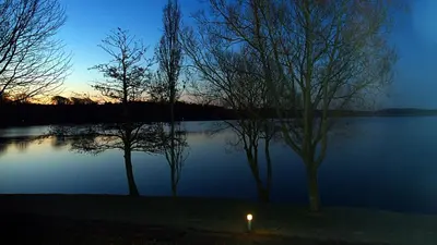 two trees sitting next to a lake at night at Golf Hotel Viborg in Viborg