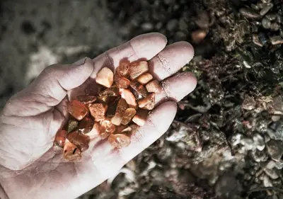 a hand holding a handful of small rocks at Thyborøn Cottages in Thyborøn