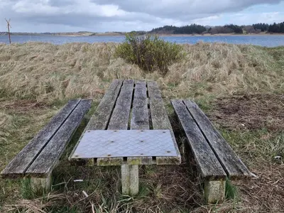 a wooden bench sitting in the grass near the water at 8 person holiday home in Højslev-By Traum in Højslev