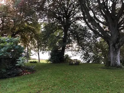 a park with trees and a bench in the grass at 6 person holiday home in Thyholm in Thyholm
