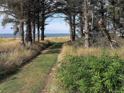 a dirt trail through a field with trees at 8 person holiday home in Spøttrup in Spottrup