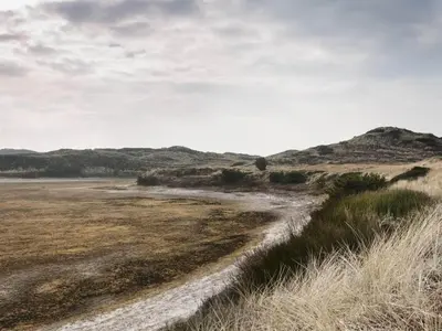 a dirt road in a field with mountains in the background at 4 person holiday home in Thisted-By Traum in Nørre Vorupør