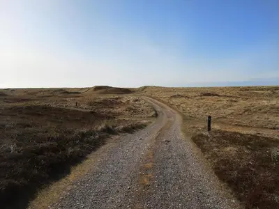 a dirt road in the middle of a field at Panoramic Seaside Escape - By Traum Ferienwohnungen in Frøstrup