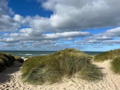 a beach with tall grass and the ocean at 6 person holiday home in Thisted-By Traum in Torsted