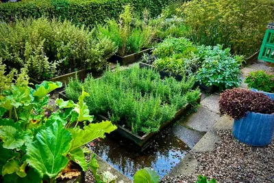 a garden with some plants and plants in pots at Sallingsund Færgekro in Nykøbing Mors