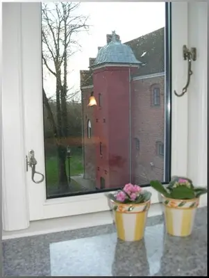 two vases with flowers sitting in front of a window at Klosterpensionen in Viborg