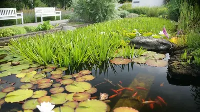a pond with lily pads and a bench in a garden at Vitskøl Kloster in Ranum