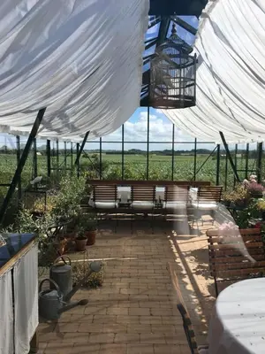a patio with benches under a white tent at Rosengave in Alsted