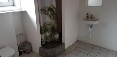 a bathroom with a sink and a potted plant at Kyndestoft Bed & Breakfast in Holstebro