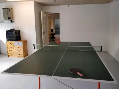 a ping pong table with a ping paddle on it at Bændal in Bækmarksbro