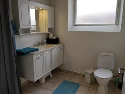 a bathroom with a sink and a toilet and a mirror at Bændal in Bækmarksbro