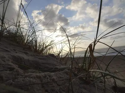 a sandy beach with some grass on it at Cozy Beach House Retreat - By Traum Ferienwohnungen in Harboør