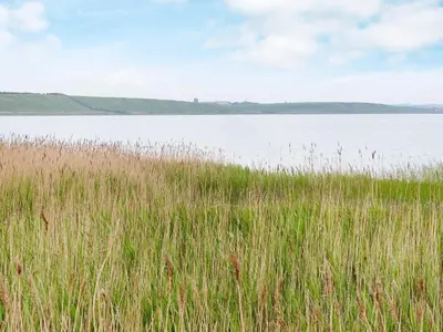 a field of tall grass next to a large body of water at 8 person holiday home in Harboøre in Harboør